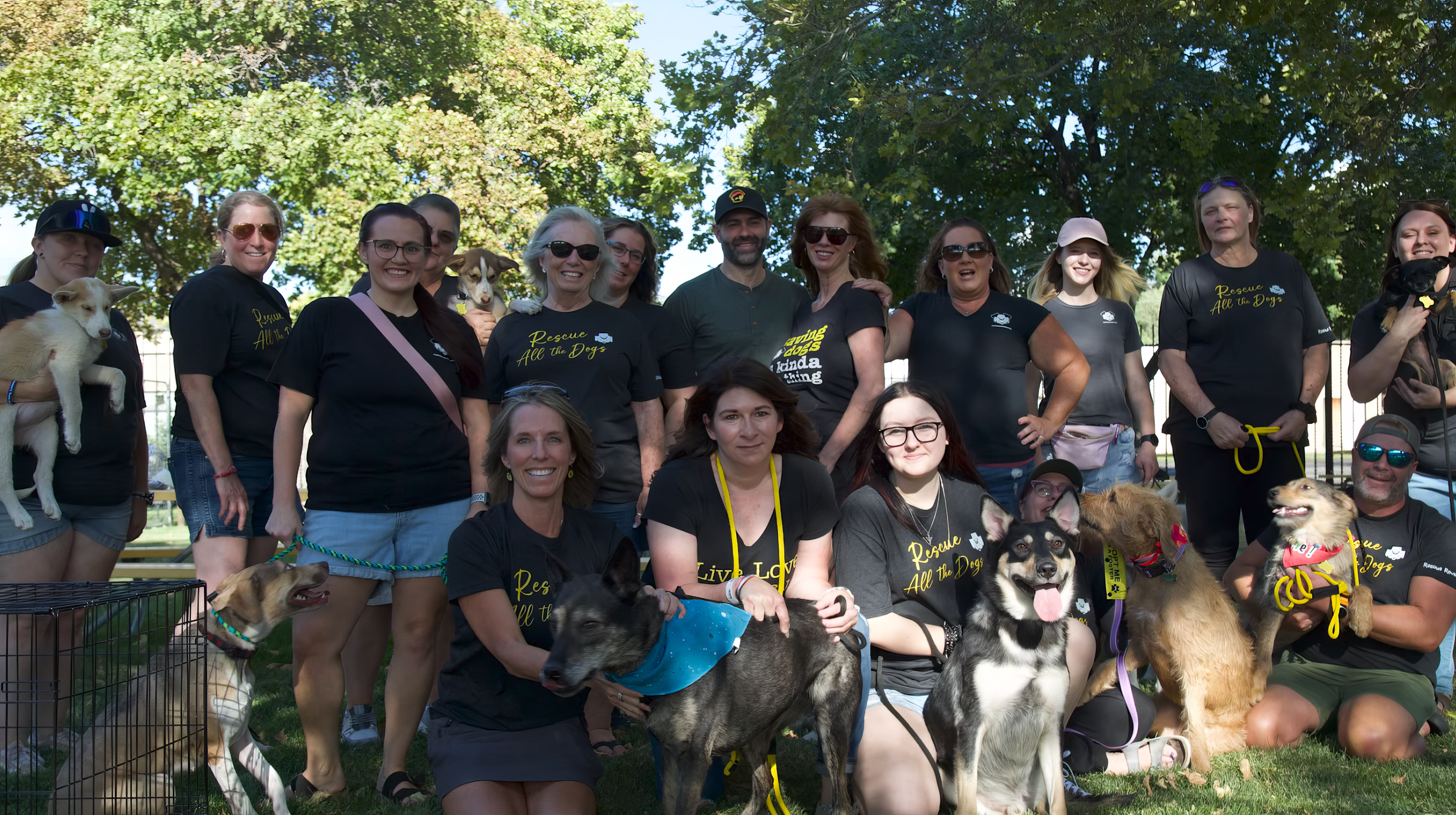 Rescue adoptions at RockStock